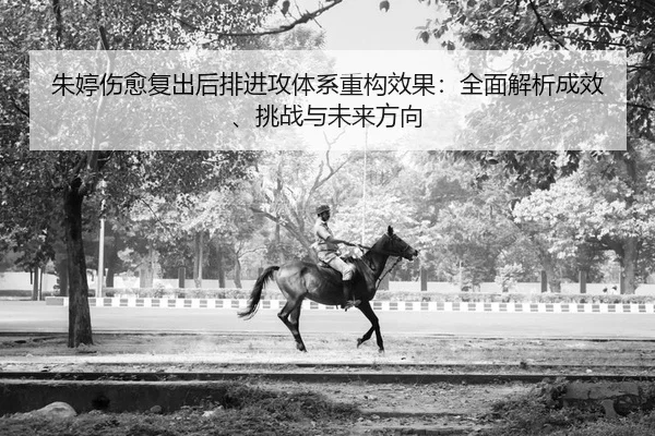 zhu-ting-shang-yu-fu-chu-hou-pai-jin-gong-ti-xi-zhong-gou-xiao-guo-quan-mian-jie-xi-cheng-xiao-tiao-zhan-yu-wei-lai-2-777.jpg
